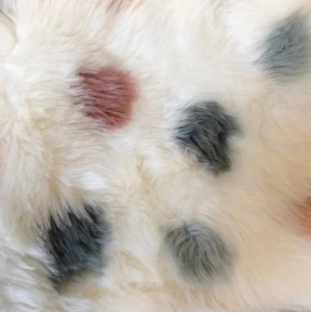 New Ugg Jemma Polka Dot Body Pillow Fur Cover 20 X 54 - Picture 8 of 8